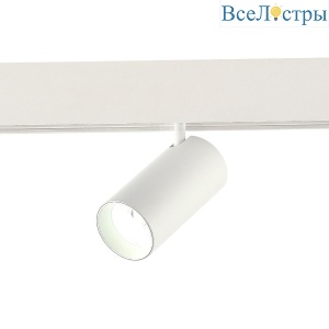 Трековый светодиодный светильник ST Luce SKYLINE 48 ST375.506.20
