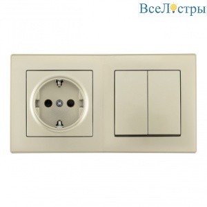 Выключатель двухклавишный с розеткой Arte Milano SET06-2-30-2-40-1 shampan