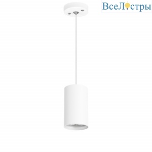 Подвесной светильник Lightstar RULLO RP436 (214436+590056)