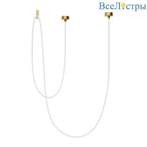 Подвесной светильник Arlight SP-TROPIC-SURFACE-R18-L5000-58W Day4000 (GD, 360 deg, 230V) 043398