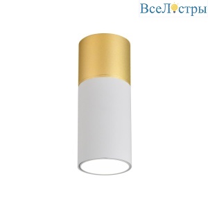 Накладной светильник Favourite Deepak 3073-1C