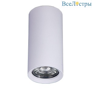 Потолочный светильник Brizzi Aras BR08093