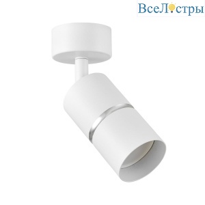 Спот Lampit Asti TS TK40-C1 WT+CHR