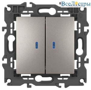 Выключатель двойной с подсветкой Эра Elegance 14-1105-16 Б0065789
