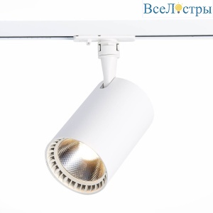 Трековый светильник ST LUCE CAMI ST351.536.30.24