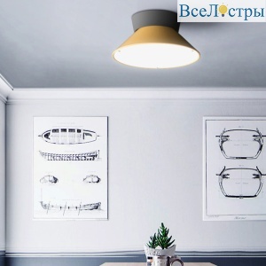 Потолочный светильник ImperiumLoft Knap 193555-26