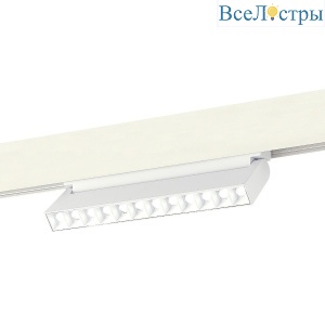 Трековый светодиодный светильник ST Luce Skyline 48 ST372.506.12