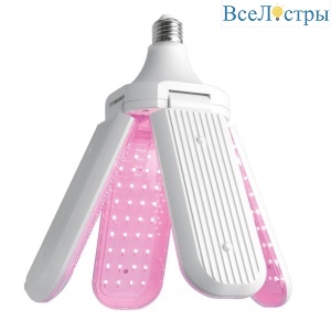 Лампа светодиодная для растений Feron LB-7000 E27 40W красно-синий спектр 48445