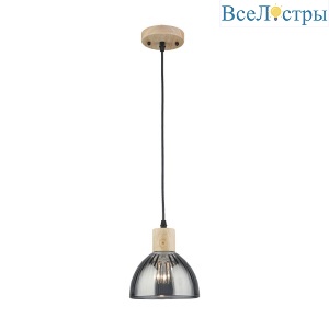 Подвесной светильник Arte Lamp Lancaster A5869SP-1BK
