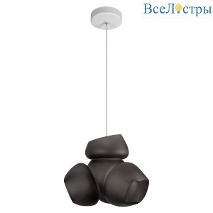 Подвесной светильник LOFT IT Cluster 10467P Black