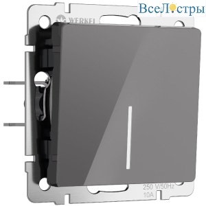 Выключатель одноклавишный с подсветкой Werkel 4690389197413 W1110144 a064077