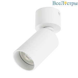 Спот Denkirs DK2029-WH
