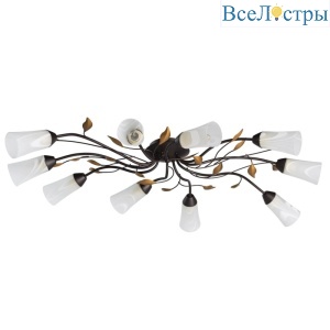 Потолочная люстра MW-Light Восторг 242015410