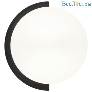 Настенный светильник Eurosvet Moity 70150/1 черный a064844