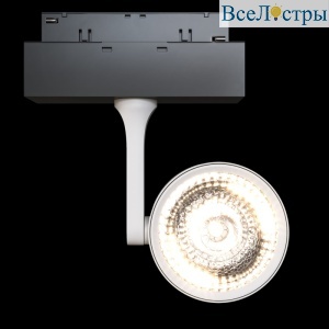 Трековый светильник Maytoni Oko TR024-2-10W3K