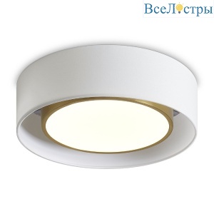 Потолочный светильник Freya Cozy FR6170CL-L52BS