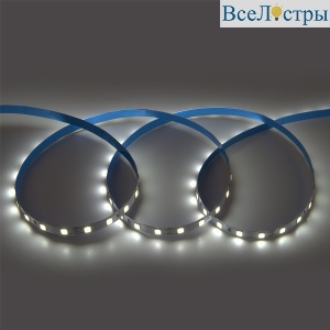 Светодиодная лента General GLS-5050-60-14.4-24-IP20-6 503412