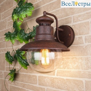 Уличный настенный cветильник Elektrostandard Talli D GL 3002D брауни 4690389106569