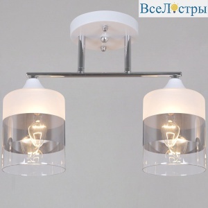 Потолочный светильник Reluce 06916-0.3-02 WH+CR