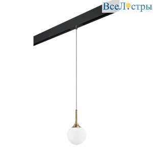 Трековый светильник Lightstar Globo (813013+595007) PRO813013