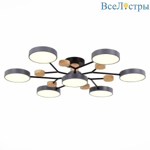 Люстра на штанге Evoluce Faema SLE6006-702-07