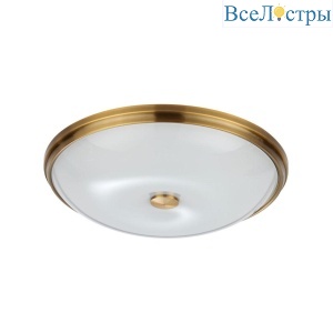 Потолочный светильник Odeon Light Walli Pelow 4956/5