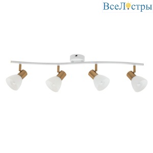 Спот Arte Lamp Falena A3117PL-4WH