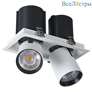 Встраиваемый спот Wertmark Dorsum WTD.O31.067.30.20