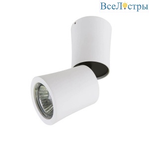 Накладной светильник Lightstar Rotonda 214456