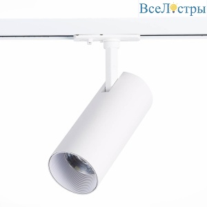 Трековый светодиодный светильник ST Luce Mono ST350.546.20.36