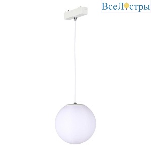 Трековый подвесной светильник Aployt Magnetic track 48 APL.0124.10.06