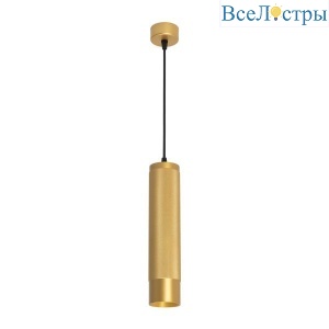 Подвесной светодиодный светильник Arlight Sp-Spicy-Hang-R70-13W Warm3000 033670