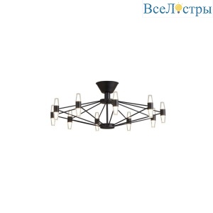 Потолочная люстра Aployt Bernadet APL.865.07.60