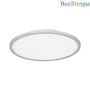 Потолочный светильник Evoluce Тассен SLE1811-502-01