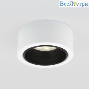 Накладной светильник Elektrostandard 1070 4690389182563