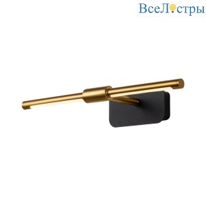 Подсветка для картин Favourite Insight 4016-1W