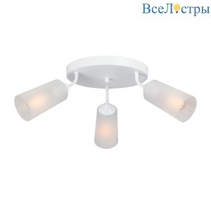 Потолочная люстра Vitaluce V4273-0/3PL