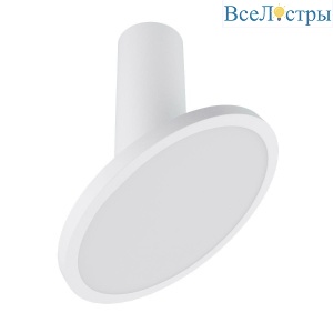 Светодиодный спот Elektrostandard Brain DLS029 12W 4200K белый матовый 4690389149054
