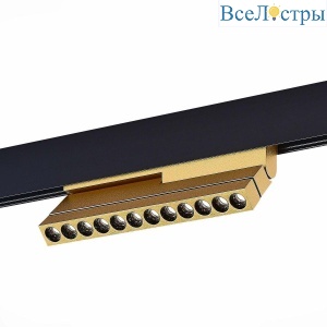 Трековый светодиодный светильник ST Luce ST805.246.12
