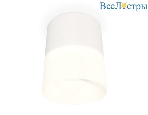 Потолочный светильник Ambrella Light Techno Spot XS8110002 (C8110, N8402)