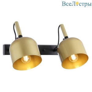 Спот Ambrella Light Traditional TR97106