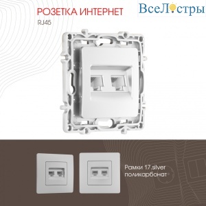 Розетка RJ45 Arte Milano 217.45-2.silver