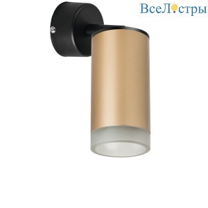 Встраиваемый спот Lightstar Rullo RB44030 (214440+590007+202430)
