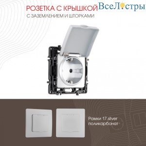 Розетка с заземлением, шторками и защитной крышкой Arte Milano 217.41-1.silver