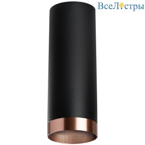 Накладной светильник Lightstar Rullo R487430 (214487+203430)