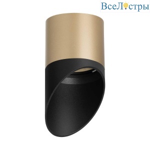 Потолочный светильник Lightstar Rullo (213490+201487) R349087