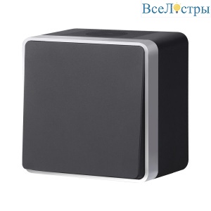 Выключатель одноклавишный влагозащищенный Werkel Gallant (черный с серебром) W5010234 4690389164033 a051162