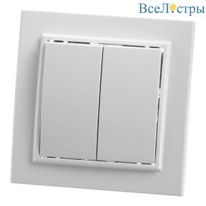 Выключатель двухклавишный Feron Stekker Эрна PSW10900401 39044