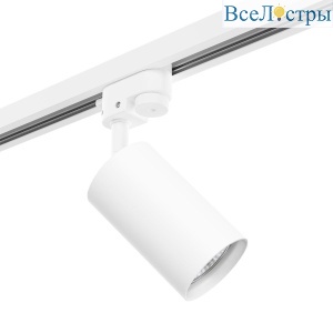 Трековый светильник Lightstar Rullo (214436+592056) R1T436