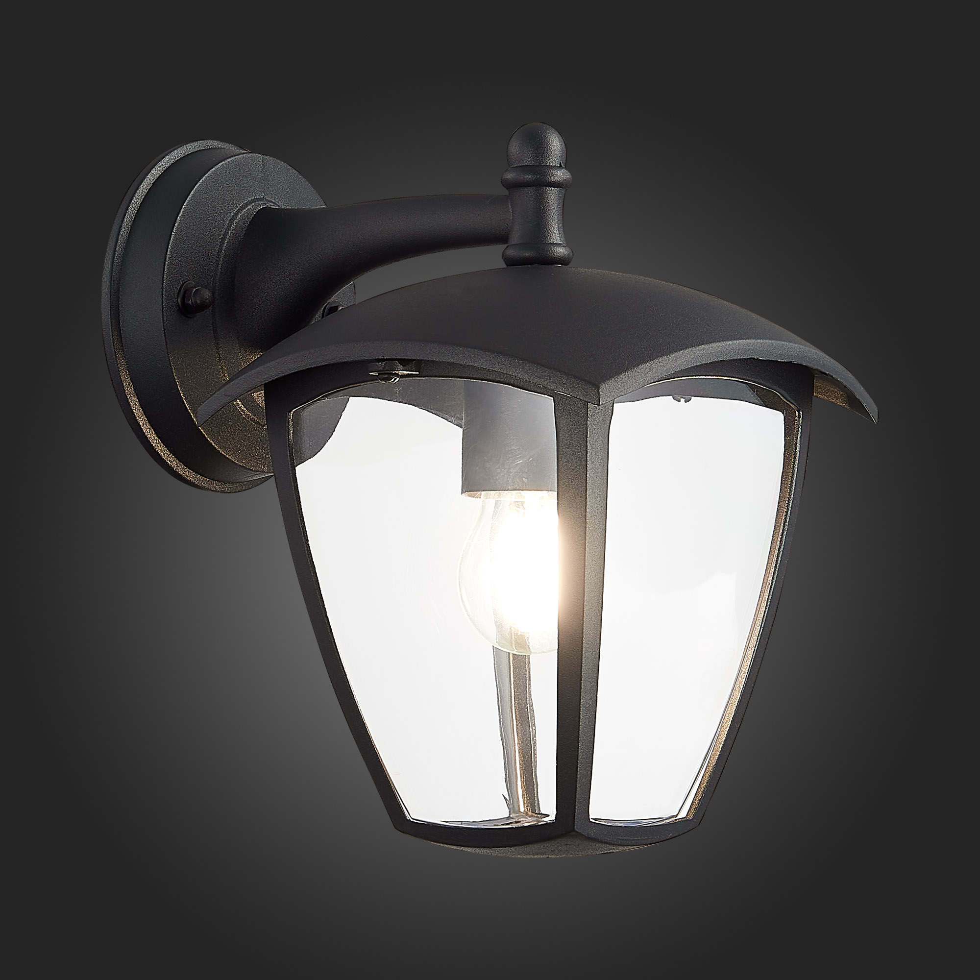 уличный настенный светильник st luce sivino sl081.411.01